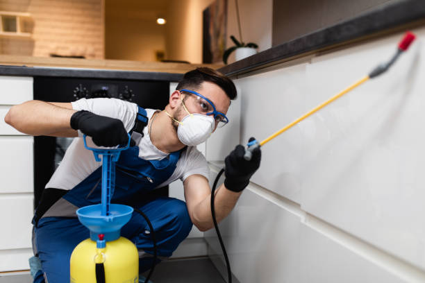 Best Best Pest Control Companies  in Hainesvle, IL