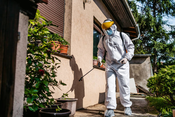 Best Rodent Control Near Me  in Hainesvle, IL