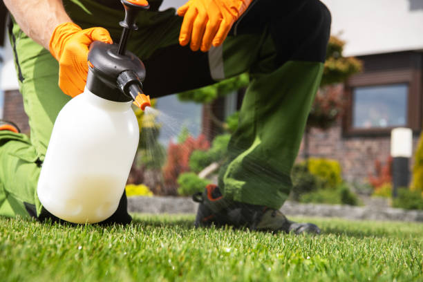 Best Pest Inspection Near Me  in Hainesvle, IL