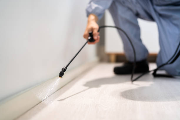 Best Affordable Pest Control Services  in Hainesvle, IL
