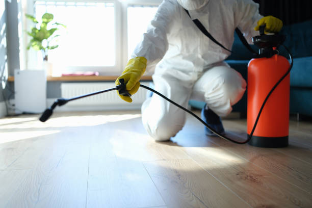 Best Local Pest Control Services  in Hainesvle, IL