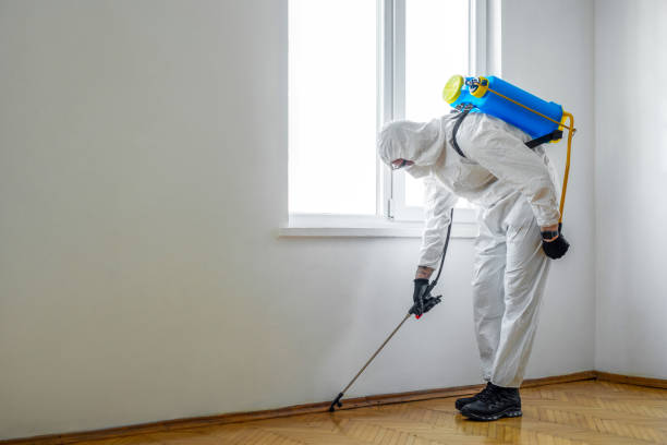 Best Pest Control Near Me  in Hainesvle, IL