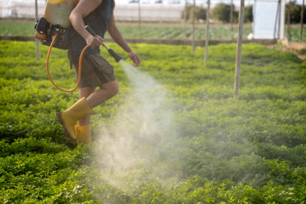 Pest Control for Restaurants in Hainesville, IL
