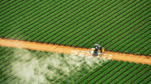 Best Pest Control Treatment  in Hainesvle, IL