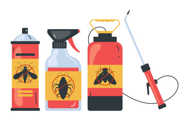 Best Ant Control Services  in Hainesvle, IL