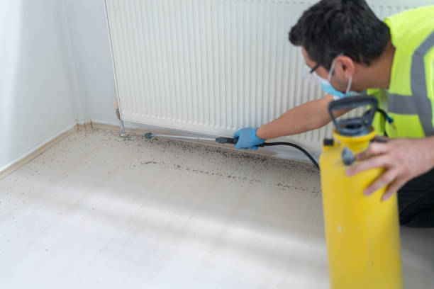 Best Residential Pest Control  in Hainesvle, IL