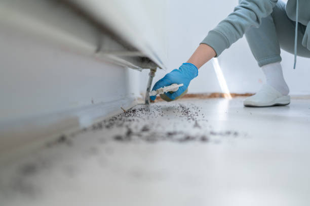 Pest Prevention Services in Hainesville, IL