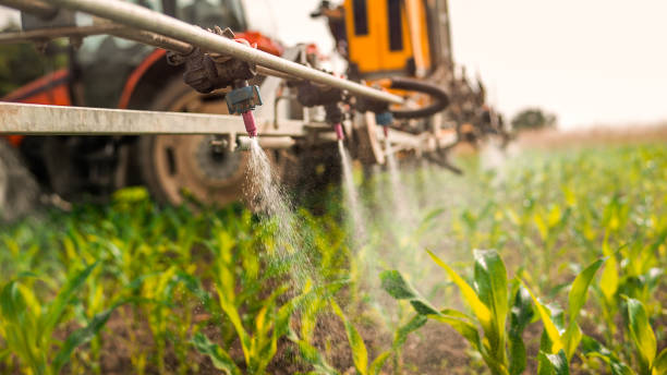 Best Pest Prevention Services  in Hainesvle, IL